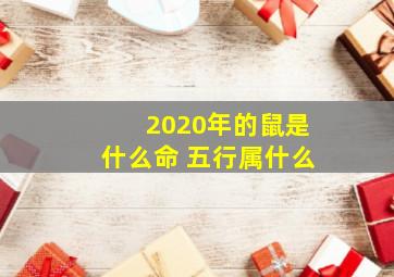 2020年的鼠是什么命 五行属什么